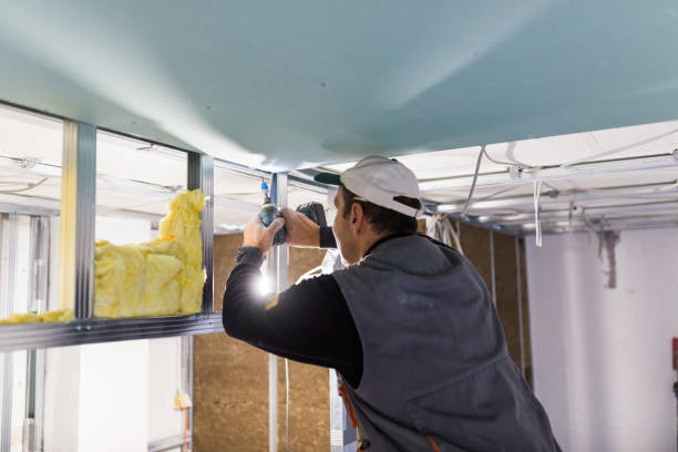 Best Commercial Insulation Services  in USA